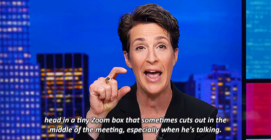 actuallylorelaigilmore:it’s both comforting and terrifying to watch rachel maddow unravel along with