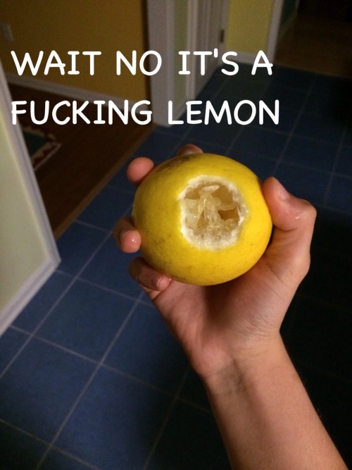 sicknotstupid:  fandom-inc:  yourfriendlyneighborhoodbitch:  fandom-inc:  apparently some lemons are very round and not diamondish anD NOW MY MOUTH IS SCREAMING  WHO THE FUCK TAKES A BITE STRAIGHT OUT OF A LEMON  I TOLD YOU I THOUGHT IT WAS A FUCKING