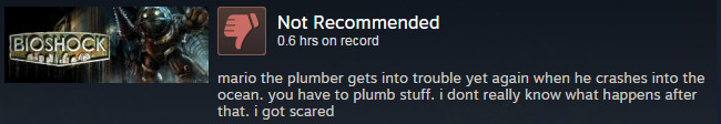 juneboba: some of the best game reviews i’ve ever read