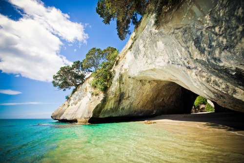 Cathedral Cove, CoromandelShaun Jeffers, 500px.com