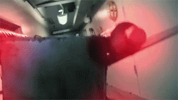 sizvideos:Jedi Kittens Strike BackVideo  … well this is just fantastic…