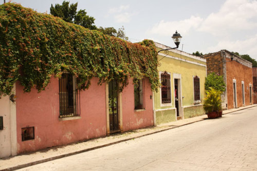 thebasic: Coqui Coqui, Valladolid, Mexico