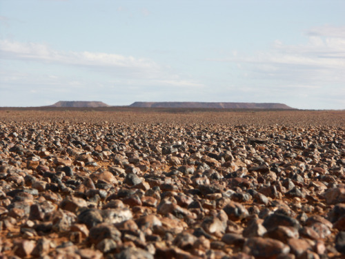 nathanielstuart:The Moon Desert, South Australia.