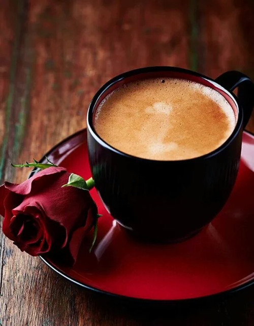 Bom dia!
