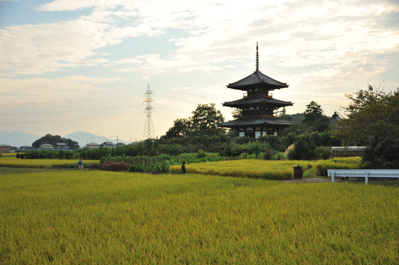 ancientart:  Hokki-ji, a Buddhist temple in Okamoto, Japan, a masterpiece of wooden