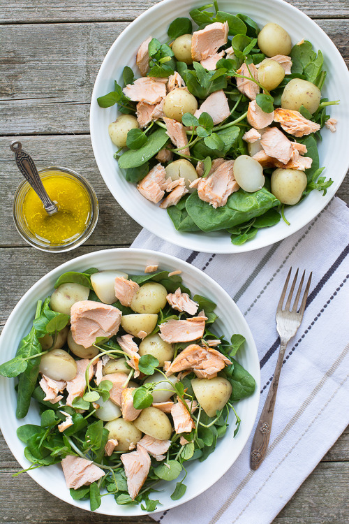 foodffs:  Quick and simple warm salmon and new potato salad with a lemon, honey & mustard dressing.  http://charlotteslivelykitchen.com/warm-salmon-new-potato-salad/Really nice recipes. Every hour.Show me what you cooked!