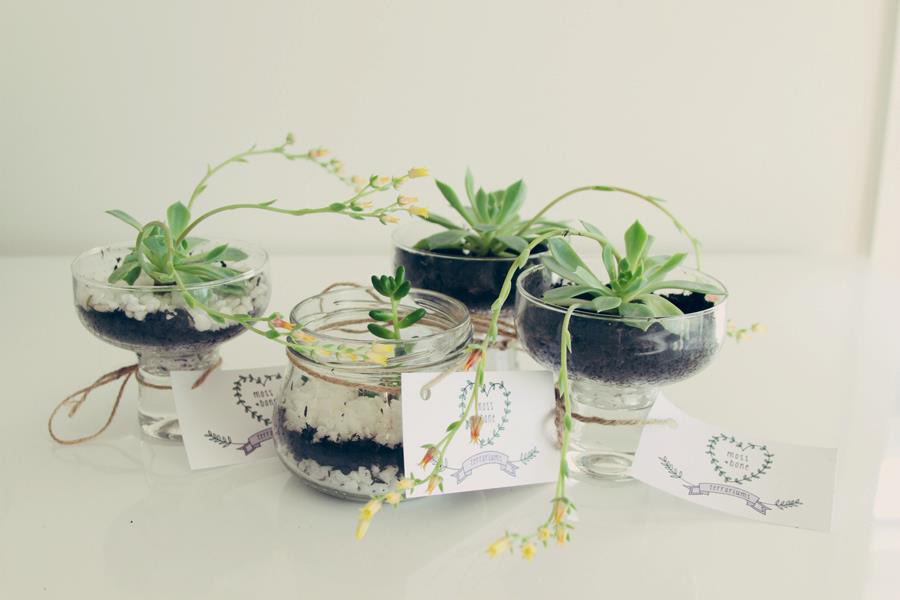 helloyounglionsxo:  I make and sell terrariums as a little hobby that makes me happy
