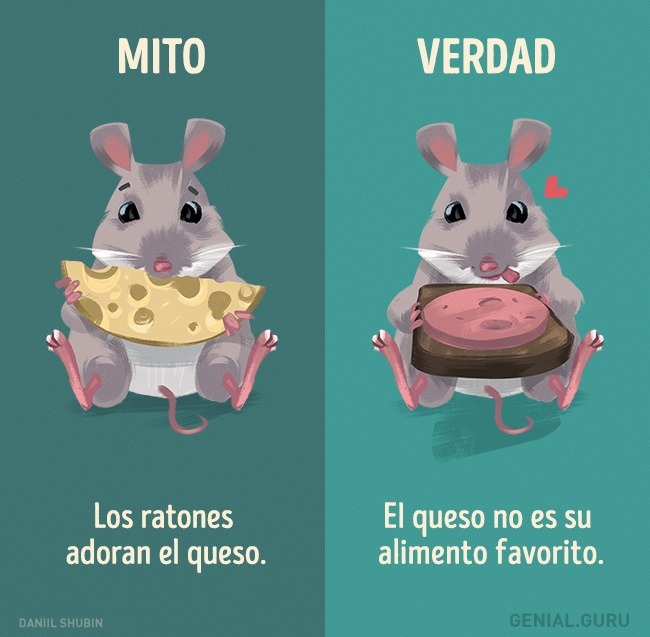 SUPER CACHONDEO