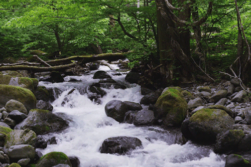 blog of wasif(io)
