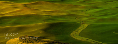 palouse sculpted light by markbowenfineart