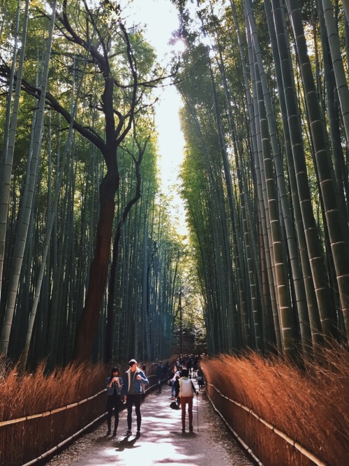 risarodil: My Japan trip summarized in photos. Camera used is iPhone6.