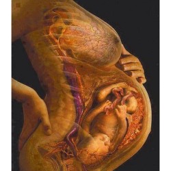 apegopr:  Naturalmente perfecto… #embarazo #maternidad #lactancia #apego