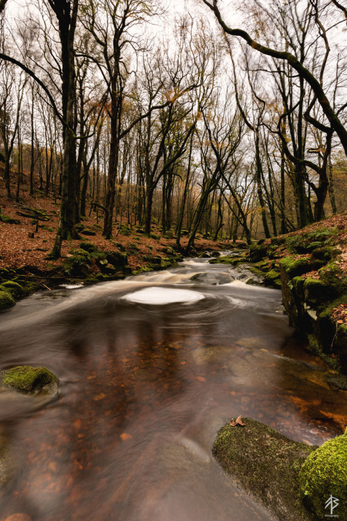 End of Autumn at Cloghleagh by Fearghal.