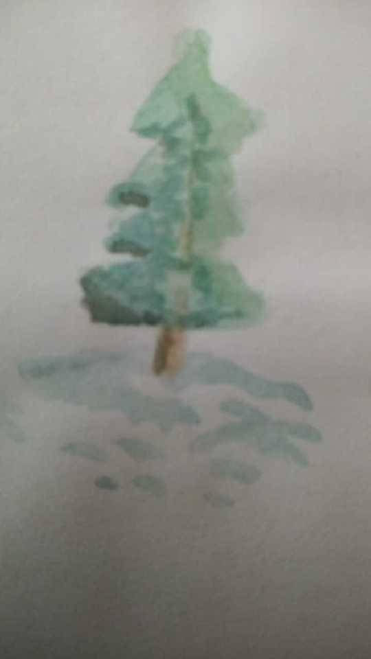 A Lots A Trees