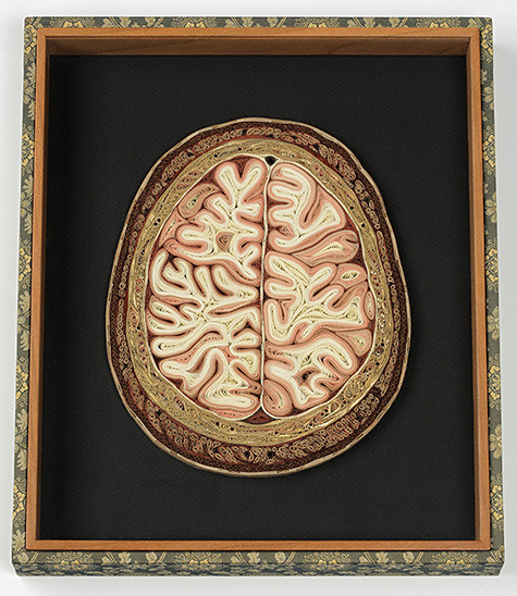 dieselotherapy:   Tissue Series  Anatomical Cross-Sections in PaperThese pieces are made of Japanese mulberry paper and the gilded edges of old books. They are constructed by a technique of rolling and shaping narrow strips of paper called quilling or