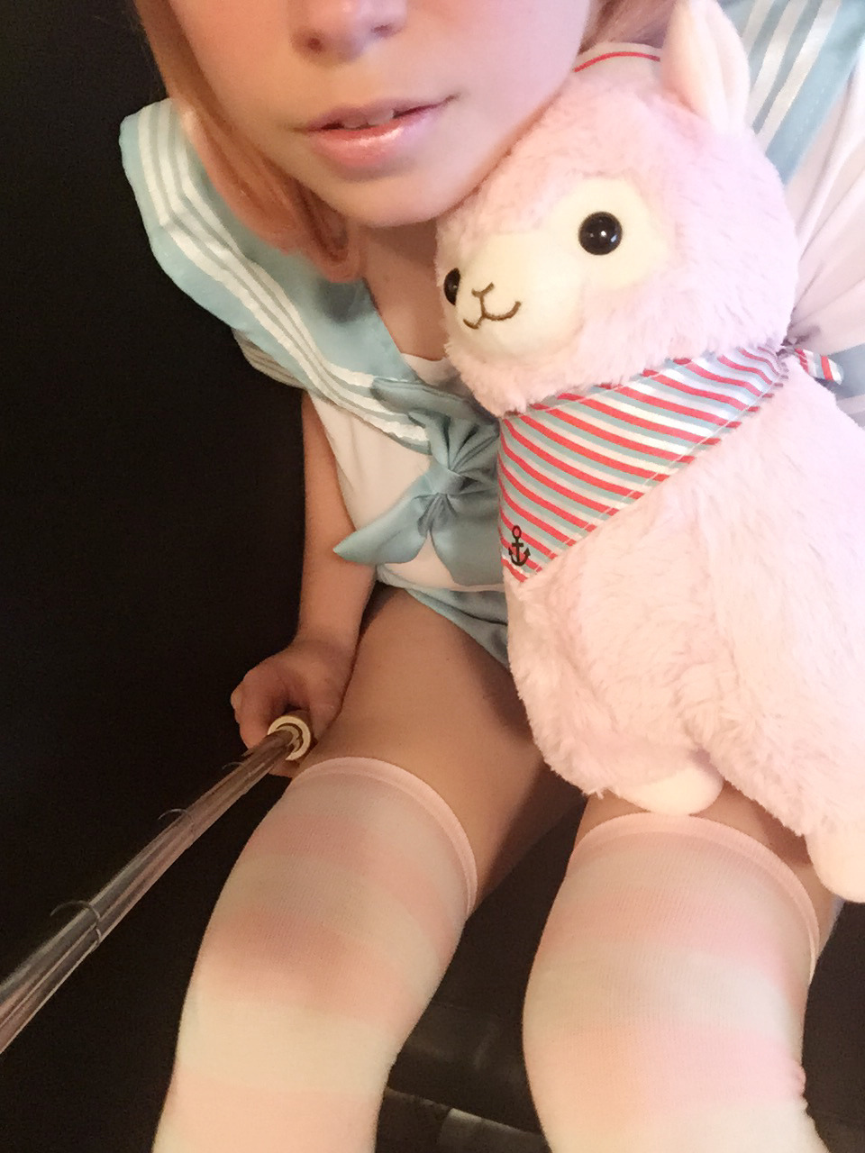 usatame:  You all showed enough interest so I am going to release the full solo Alpaca