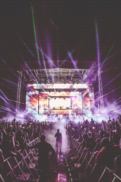 rave-nation:  ZEDD | RUKES.com