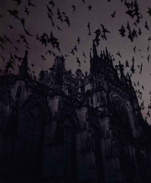 "Vampire's Lair" By Photographer Nona Limmen