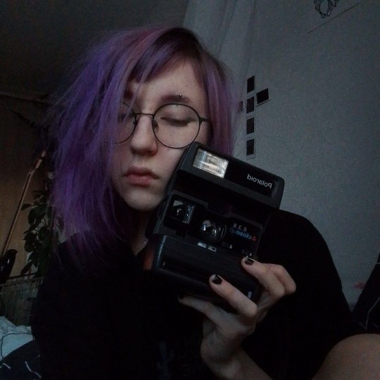 Tumblr media