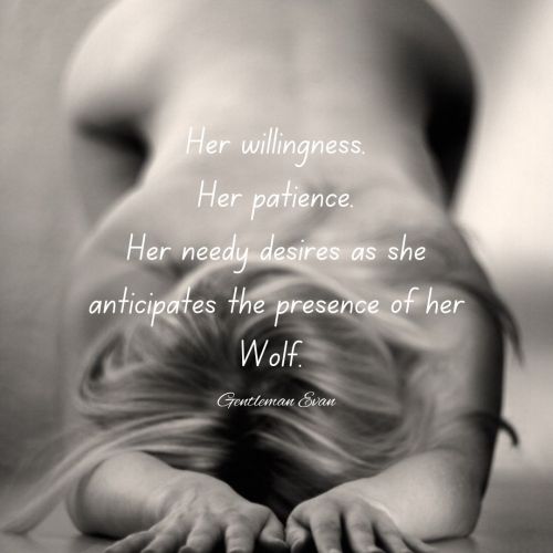 thepatientwolfe - Wondering