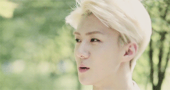 crossgrid:  10 things I haTE about Oh Sehun | A story of the downfall of my sanity.No.1