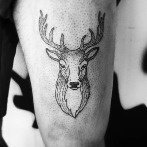 Deer, buck, stag, hart…Btw… my newborn! * * #deertattoo #deer #tattoo #ink #linework