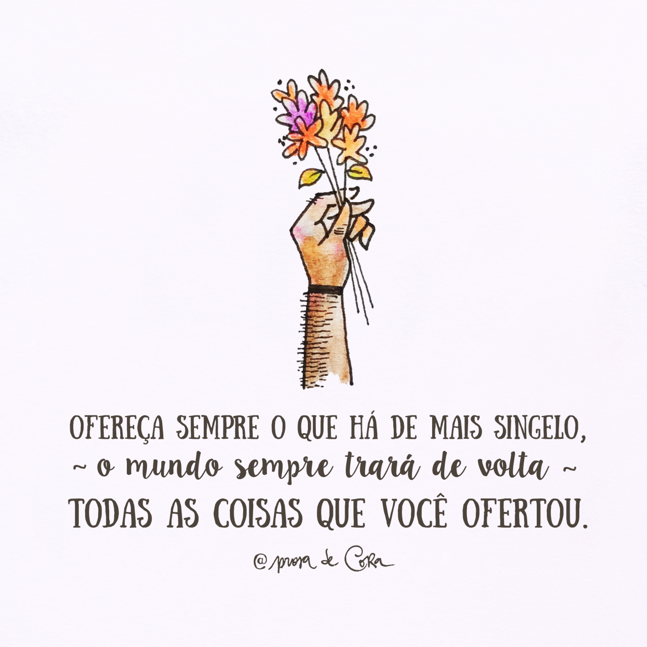 ☀ Damadluz ☀