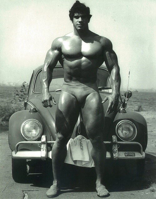 londonboy45:  smut-i-dug-up:  Lou Ferrigno  What a god should look like!  Physically one very ideal handsome, sexy, muscular man - this is what dreams are made of - WOOF