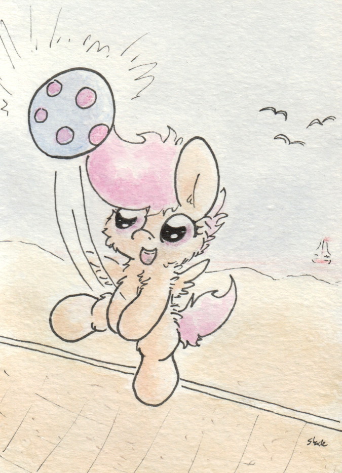 slightlyshade:  Scoots’ plays some volleyball at the beach!  ^w^!