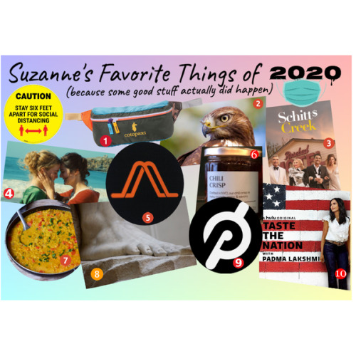 Suzanne’s Favorite Things of 20201. Cotopaxi Bataan Del Dia Fanny Pack. My first clue that 2020 was 