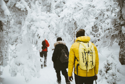 Shots from the second Northeast Collective Instameet in January, this time on top of Mount Pierce in