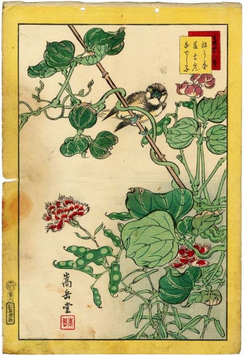 Kachō-ga fu 花鳥 画 譜 :No. 6, White-cheeked Bunting, Wisteria Bean, and Wild Carnation (Hôjiro fu