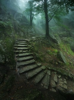 landture:  Stairway to the Castle by KarolNienartowicz