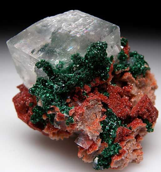 ifuckingloveminerals:  Calcite, Malachite