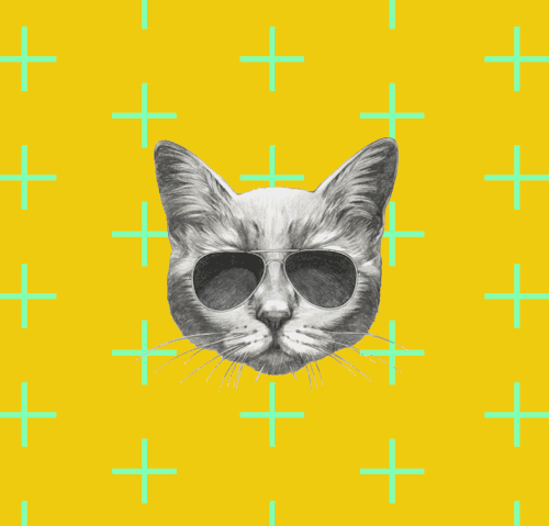 totinos:  rolls n cats n rolls n cats n rolls n cats n rolls