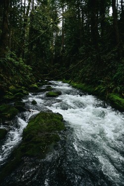 michaellamartin:  &ldquo;The River doesn’t doubt itself; neither should you.&rdquo;[More Photography from Michael LaMartin.] 