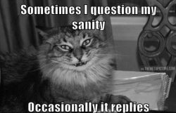 srsfunny:  I question my sanity…http://srsfunny.tumblr.com/ 