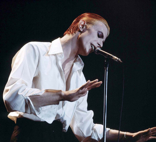 soundsof71:  David Bowie: The Thin White Duke at Wembley Empire Pool, 1976, by Michael Putland 