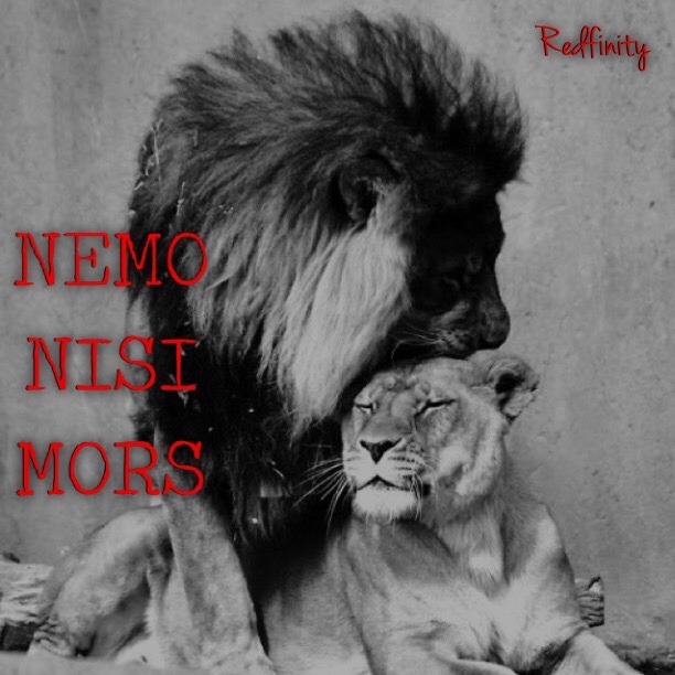 redfinity718:  NEMO NISI MORS