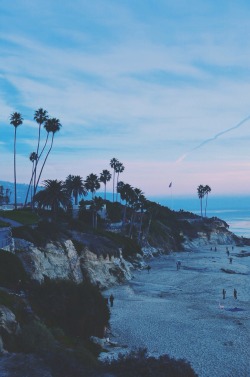 sassafranski:  Laguna Beach, CA