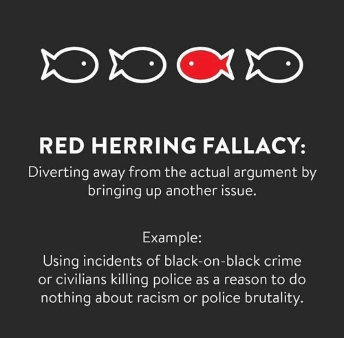 spikes-productions:

Fallacies to avoid when discussing racism and police brutalityArtist: noelle.cress (Instagram) 