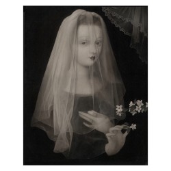 bloodmilk:  Spectral brides always. #stephenmackey