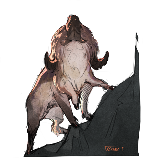 isei-bleeds:Kupeesa: “Dahk Centaur” Large, multi-legged animals thrive in the jagged mountains of 