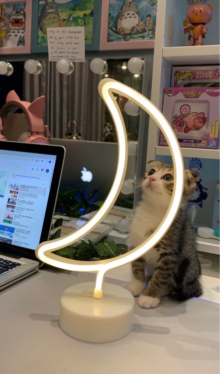 whatnow?