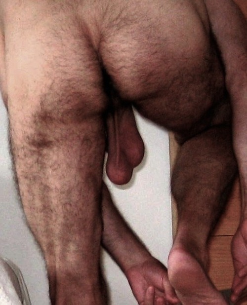 HairyItal