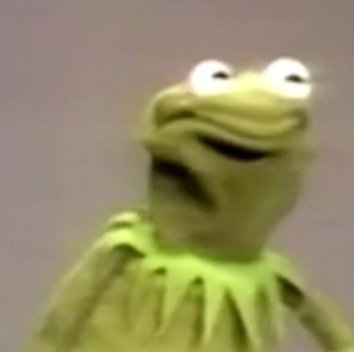 perryplat:kermit the frog is a beautiful yet terrifying individual