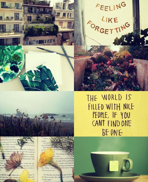 briar-rose-aesthetics - disaster