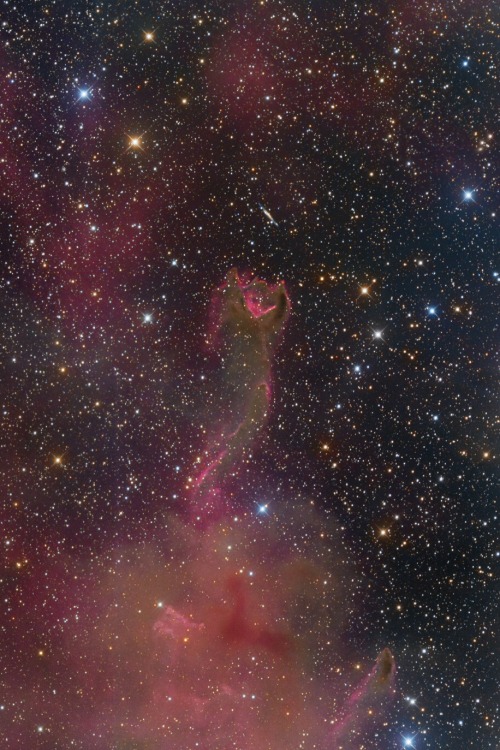 thedemon-hauntedworld:CG4: A Ruptured Cometary Globule The “claw” of this odd looking &l