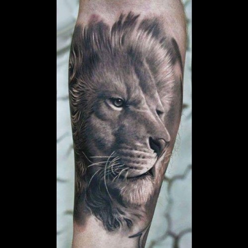 Porn the-tattoobook:  Dope Lion realism piece photos