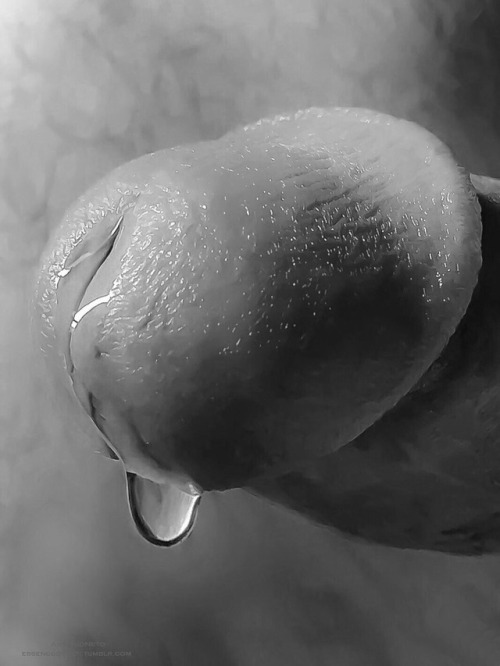 johnsquirt:Precum my love!